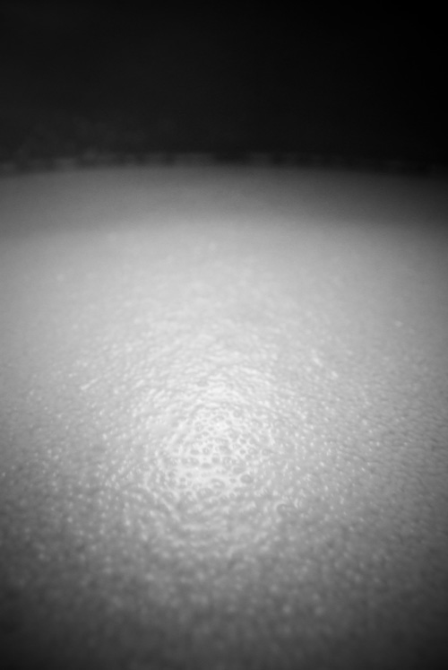 DSCF6681.jpg